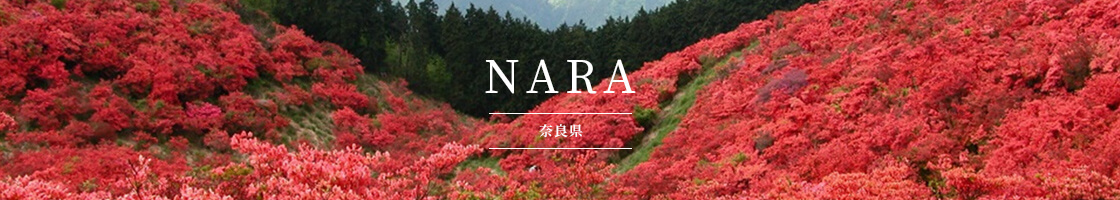 Nara Pref.(NARA)