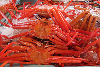 Red Snow Crab