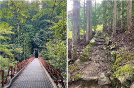 <font color='blue' size='2'>下が丸見えの吊り橋と苔が綺麗な石階段の山道</font>